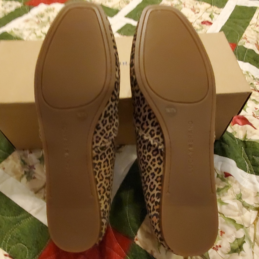 SHOES - Picture 5 of 6